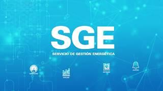 Tutorial Demo de la Plataforma SGE Endesa