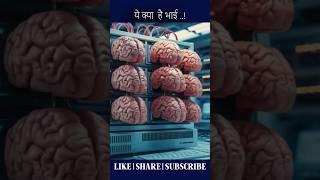 Artificially grown mini-brains!#facts #youtubeshorts #shortvideo #brain