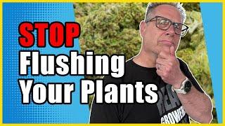 The Truth About Flushing Your Plants that Cannabis Nutrient Companies DON'T Want You to Know