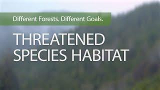 Different Forests. Different Goals. Threatened Species Habitat