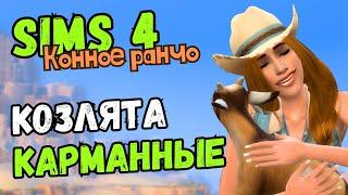 ЗАВОДИМ КАРЛИКОВЫХ КОЗ И ОВЕЦ - Sims 4 Конное ранчо #4