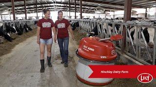 Hinchley’s Dairy Farm – Lely Life Story