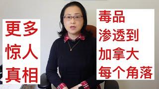 留学移民加拿大|進一步爆料，毒品已滲透到加拿大每個角落。我來加25年見到的駭人真相。鄰居，同事都可能是。。。加拿大為什麼禁毒難？