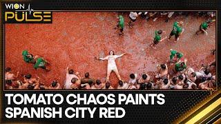 Spain's Bunol hosts world-famous La Tomatina festival | WION