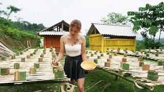 Farm Life: Technique Sowing Vegetable Seeds in Bamboo Tubes, Building Farm - Thị Hiền