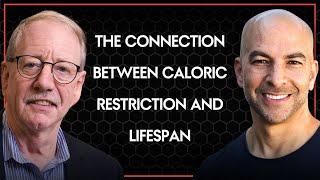 The connection between caloric restriction and lifespan | Peter Attia and Steve Austad