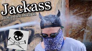 JACKASS: ПОЕДАНИЕ МОЗГОВ И ЭЛЕКТРИЧЕСКИЙ РАЗРЯД / Андрей Мартыненко