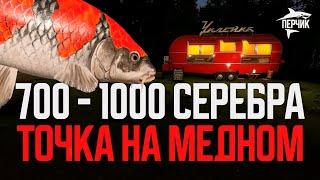 Фарм точка на медном: 700 - 1000 серебра ● Русская рыбалка 4 ● Перчик РР4