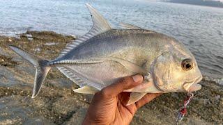 Shore jigging for Trevally , Goa fishing / India fishing