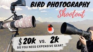 Bird Photography Equipment Comparison $20000 vs. $2000! Do You Really Need Expensive Gear?