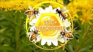 УЛЕЙ ЛЕЖАК - ТРАНСФОРМЕР