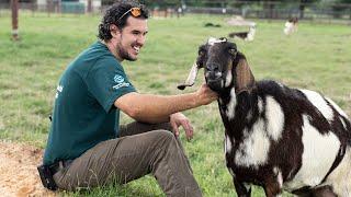 A Humane World for Animals starts now