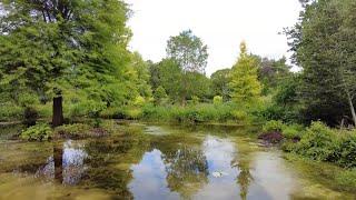 Walking Around Foggy Bottom at Bressingham Gardens in Norfolk