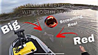 SAVANNAH GA Red Fishing in December 2021 (SAVAGE GEAR SHRIMP) (PART 1)