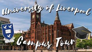 See What Studying at Liverpool University is REALLY Like!