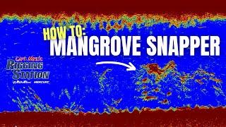 Mangrove Snapper Step-By-Step Slayfest I Mangrove Snapper Fishing | Mangrove Snapper 2024 | Fsftv