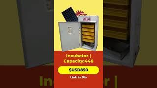 Ultimate Egg Incubator for Large-Scale Hatching