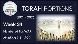 Torah Portion Week 34 - Numbers 1:1 - 4:20 (Numbered For WAR - ORDER vs. Chaos)  2024 - 2025