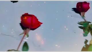 wedding Barat Decoration #Mr bk Vlog