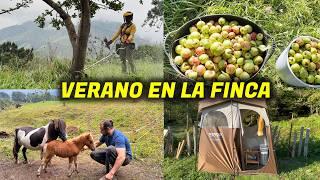 10# Mantenimiento FINCA Asturiana: PLAGAS en MANZANOS​​​ y Traemos PONIS​ | Al Son de mi Furgón