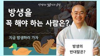 12. 방생을 꼭 해야 하는 사람은?