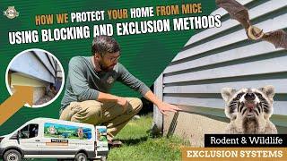 How We Protect Your Home from Mice Using Blocking and Exclusion Methods