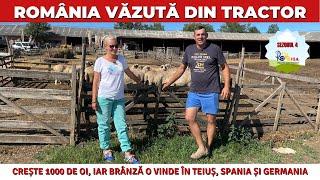 Crește 1000 de oi, iar brânza o vinde în Teiuș, Spania și Germania / România Văzută Din Tractor