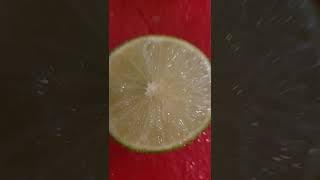 Holy Guacamole!