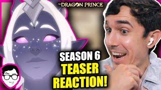 NEW SEASON 6 TEASER CLIP + My REACTION! The Dragon Prince News + Theories