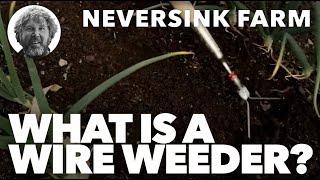 What Is A Wire Weeder? or Wire Hoe?