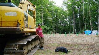 Building the Foundation for the off grid Cabin | Adventures in the WOODS