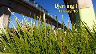 Summer walking tour of Djerring Trail | Caulfield to Hughesdale | Melbourne, AU