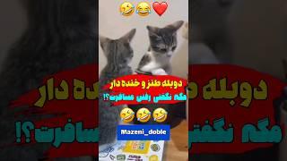 دوبله مازنی کلیپ طنز خنده دار امیدوارم بهترین️ #funny #explore #cat #خنده #comedy #دوبله #طنز #فان