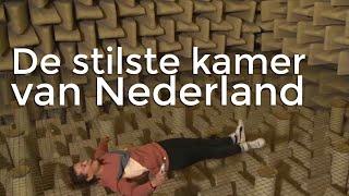 STE - De stilste kamer van Nederland | Het Klokhuis