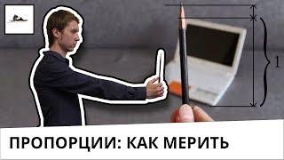 Как мерить карандашом пропорции в рисунке