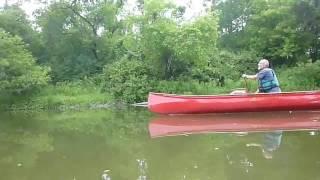 Rouge River Paddling