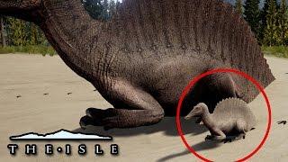 The Helpless Baby Spino! - The Isle