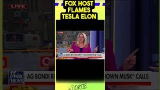 WOW! FOX HOST FLAMES TESLA Elon #cars #news #politics