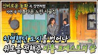 치열했던 도시에서의 삶을 잠시 내려놓고 눈만 뜨면 자연이 반겨주는 시골집에서 경험한 리틀 포레스트의 삶┃로망대로 살아볼까┃알고e즘