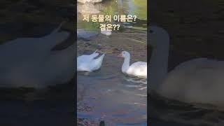 평택 농업기술센터 #토실토실  #소담스럽다  #연못속에서 #평택우리의료기 #복지용구