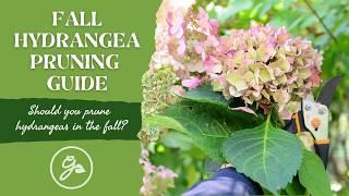 Fall Hydrangea Pruning Guide / Should You Prune Hydrangeas In The Fall?