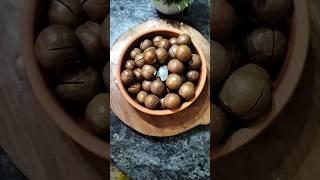 Macadamia nuts #viral #trendingshorts #shorts