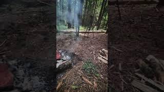 Steak in Pennsylvania Forest - Summer Bushcraft