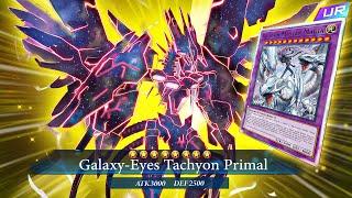TACHYON BLUE-EYES IS INSANE!  | Yu-Gi-Oh! Master Duel