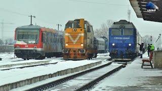 Trenuri în Zăpadă în Gara Satu Mare  Trains Snow in Gara Satu Mare - 28 January 2022