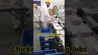 Chicken Packing Jobs Poland, Packing helper jobs Poland,