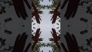 kailedoscope  #tutting #handdancetutting #fingerdance  #kaleidoscope #ytshorts #viral