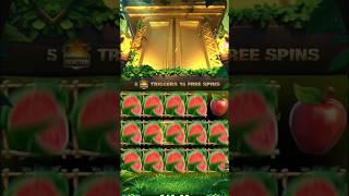 #yonorummy jungle delight #yonorummy #slot #yonorummygame #yonorummyshorts#yonorummywinningtricks