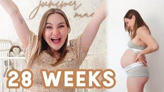 FINALLY SOME GOOD NEWS | 28 Week Pregnancy Update with Baby #2