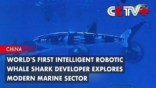 World's First Intelligent Robotic Whale Shark Developer Explores Modern Marine Sector
